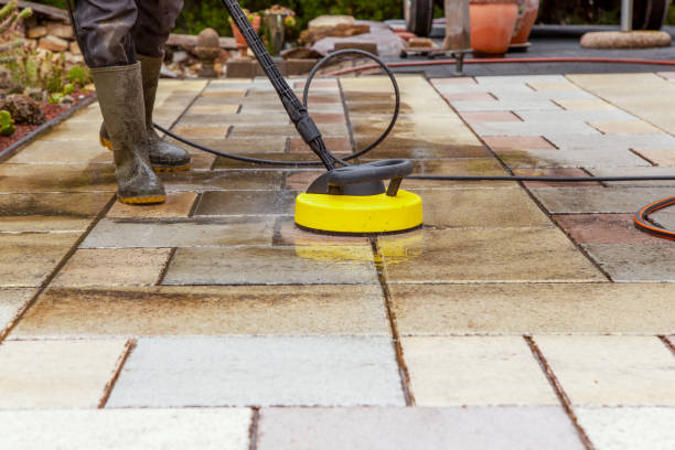 Best Gutter Cleaning  in Greenfield, MN